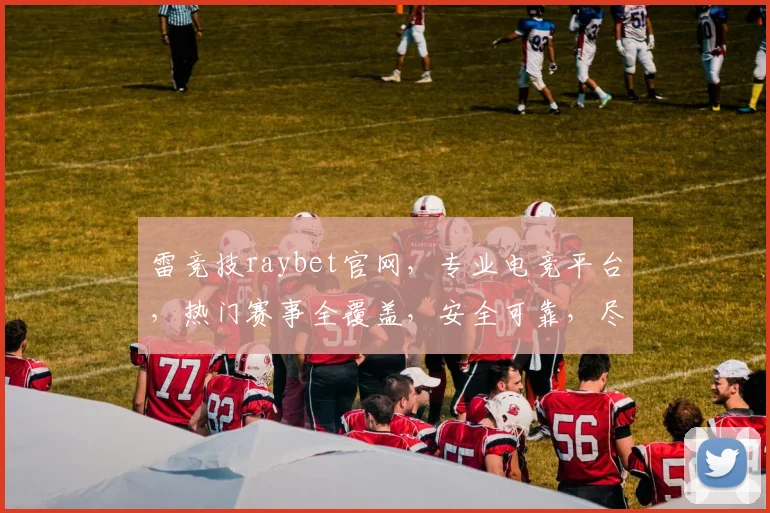 雷竞技raybet官网，专业电竞平台，热门赛事全覆盖，安全可靠，尽享精彩